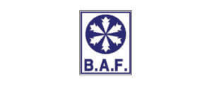 brianaflynn-logo